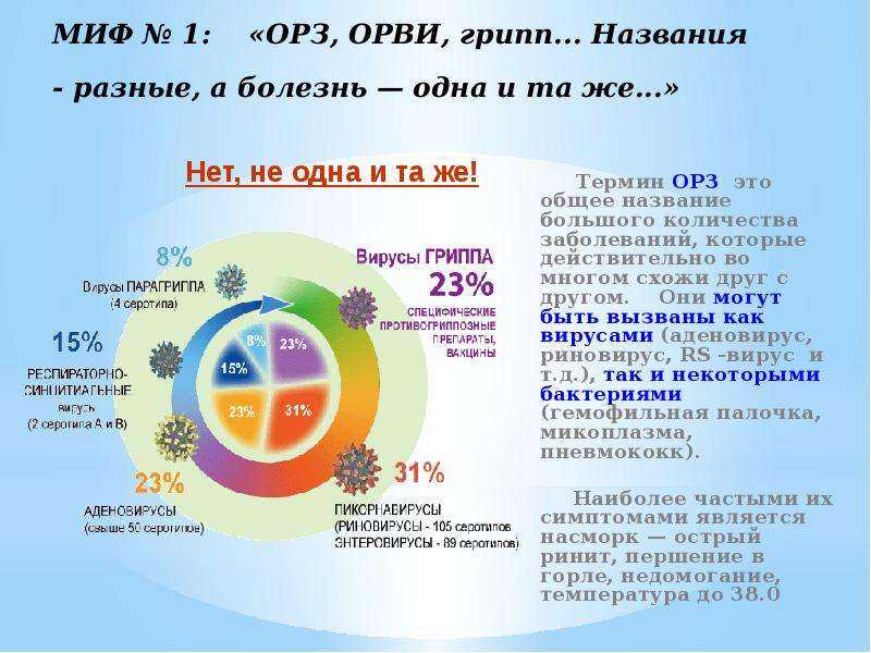 Эфирные масла: мифы и правда