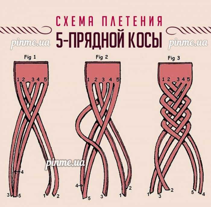 Коса из 5 прядей: техника плетения, пошаговая инструкция - szpilka.ru