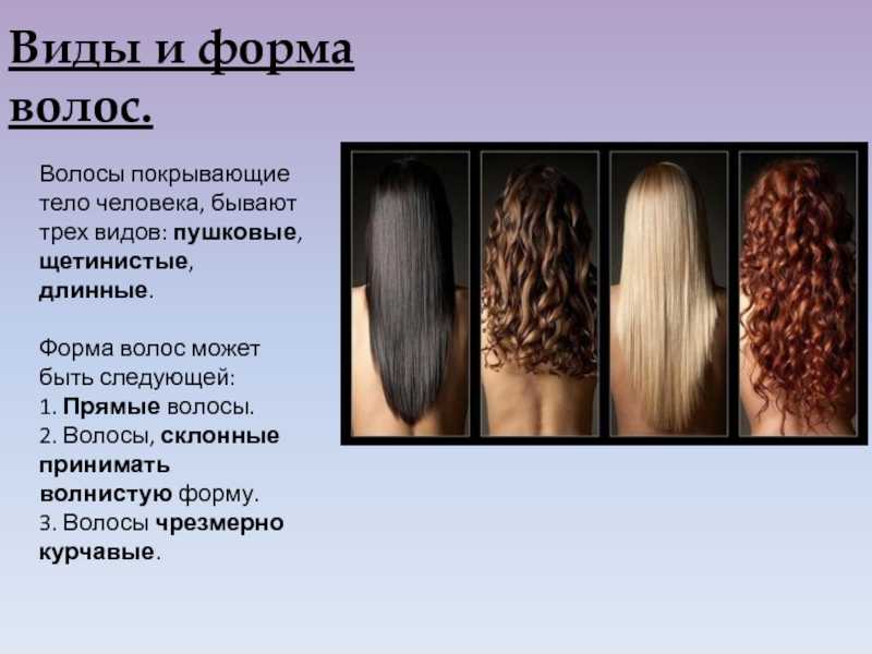 Типы волос у мужчин и женщин: какие бывают и как узнать свой, как ухаживать и как сделать тест