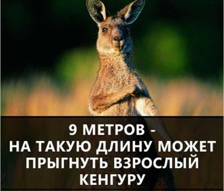 Клейма серебра царской россии