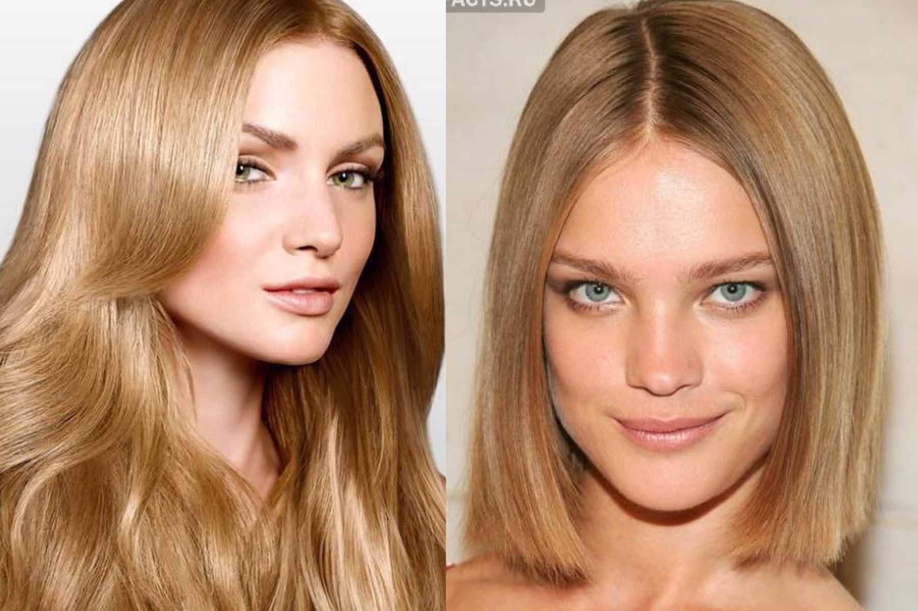 Теплые оттенки блонда: как добиться нужного цвета, подбор краски, фото - luv.ru