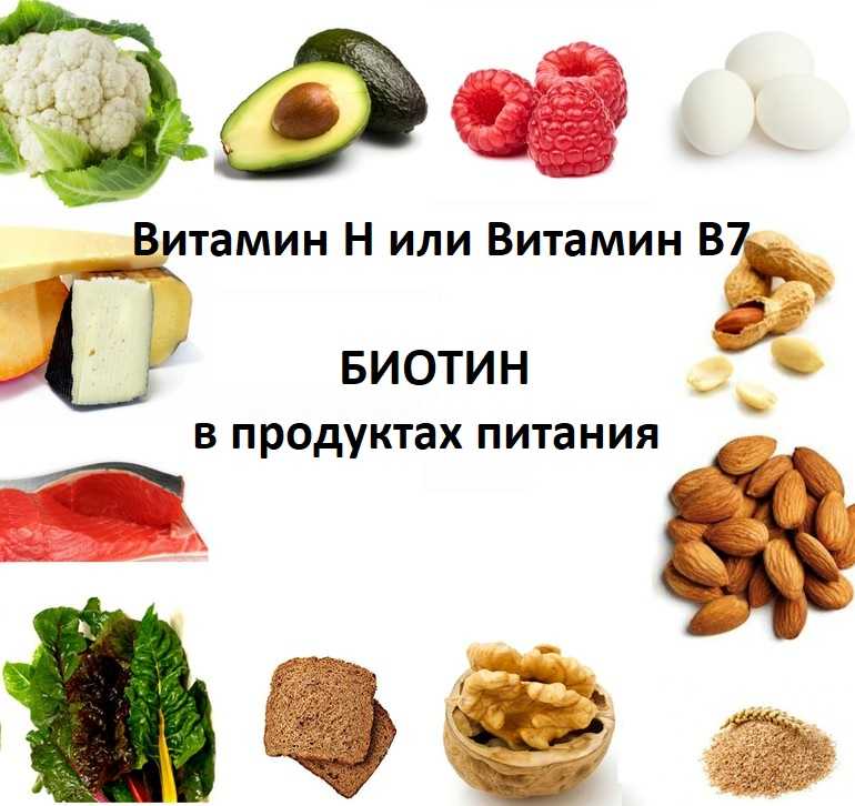 Витамин в7/h (биотин): в каких продуктах содержится – эл клиника