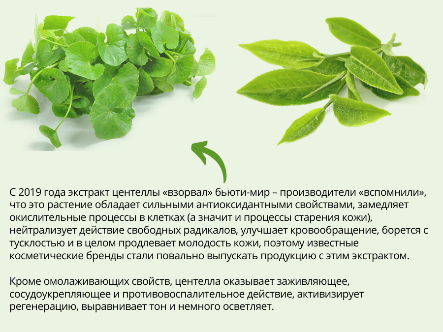 Саксенда - новый препарат для похудения. действие, показания, дозировка | университетская клиника