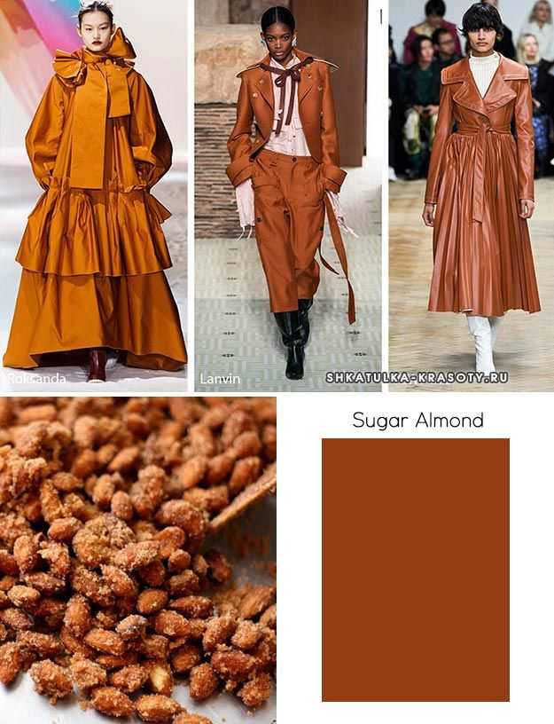 Модные цвета одежды осень-зима 2022-2023 • журнал dress