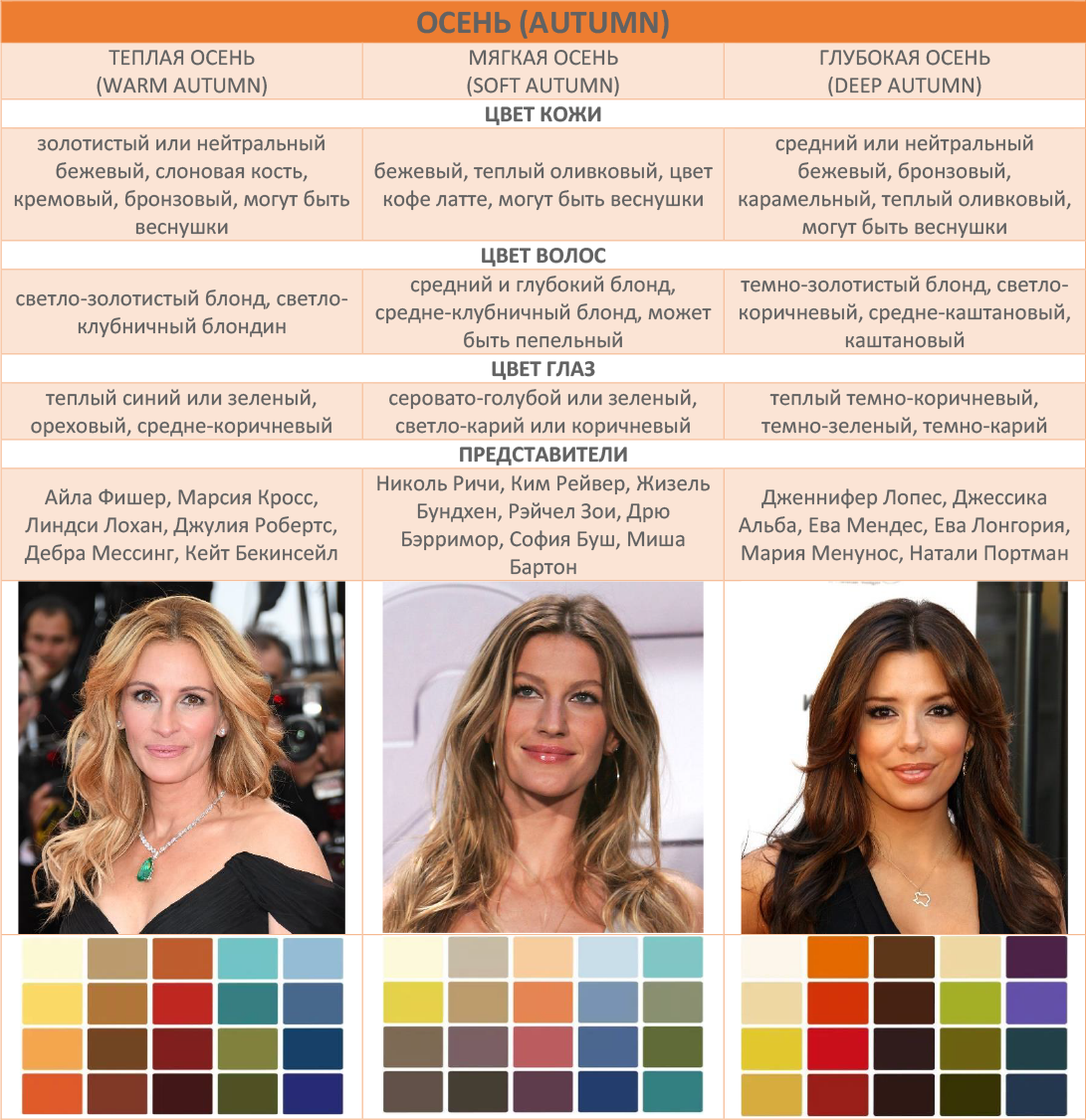 Какие цвета какому цветотипу подходят (правила выбора цвета волос и одежды)