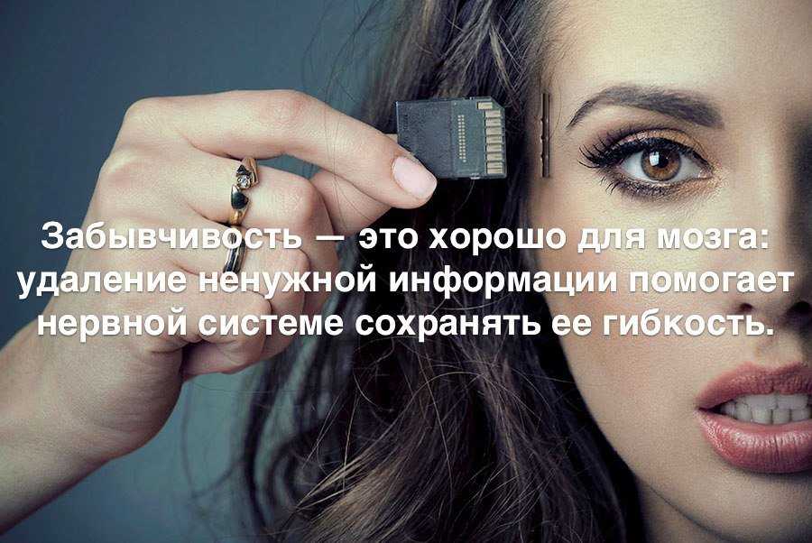 «дикость абсолютная»: что известно о «частной» подземной тюрьме под петербургом — рт на русском