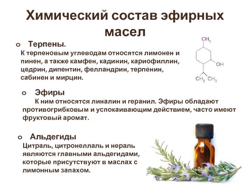 Эфирное масло чайного дерева для кожи лица: применение в домашних условиях. рецепты масок - onwomen.ru