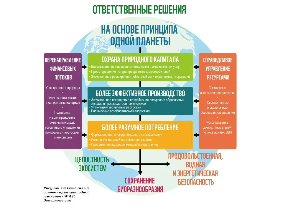 Культура осознанного потребления одежды, еды и энергоресурсов: откуда возник тренд и его принципы