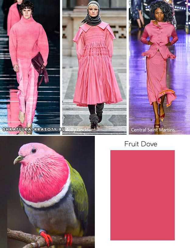 Модные цвета одежды (100+ фото новинок) в сезоне осень-зима 2019