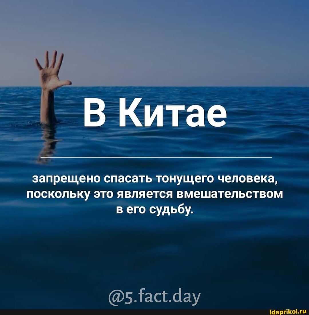 «зингер» кошмарит ипэшников в суде 