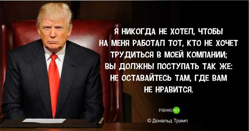 Что нужно сделать, чтобы стать как дональд трамп